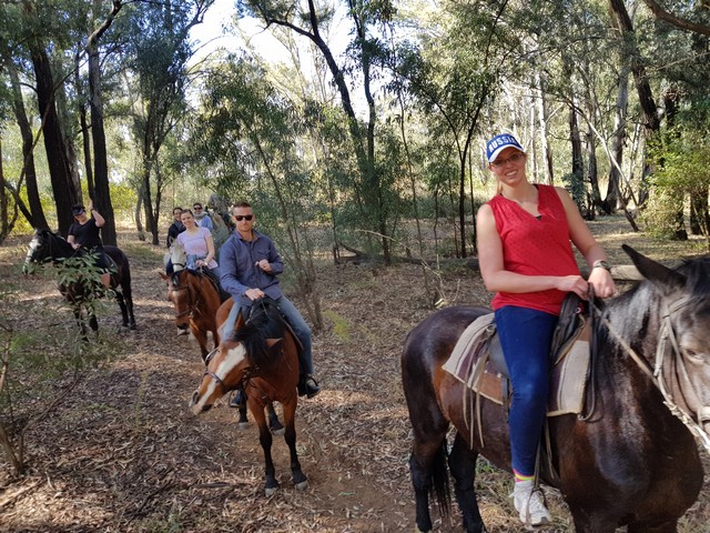 how to canter on a horse